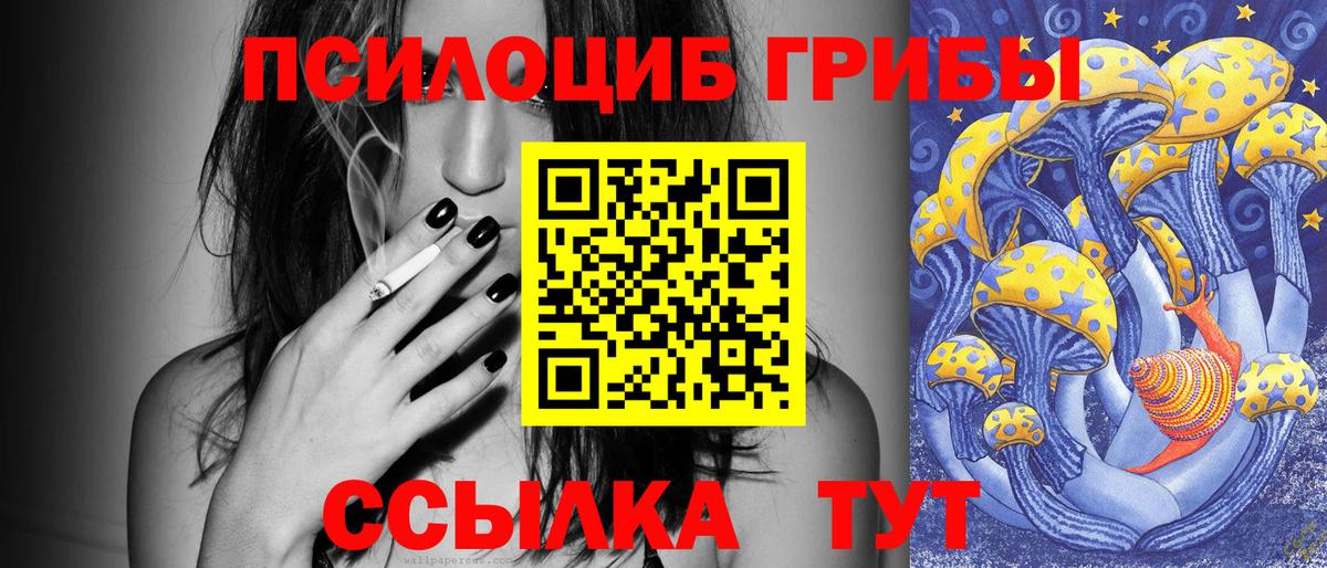 Галлюциногенные грибы мицелий  Вход с VPN  Усть-Илимск 